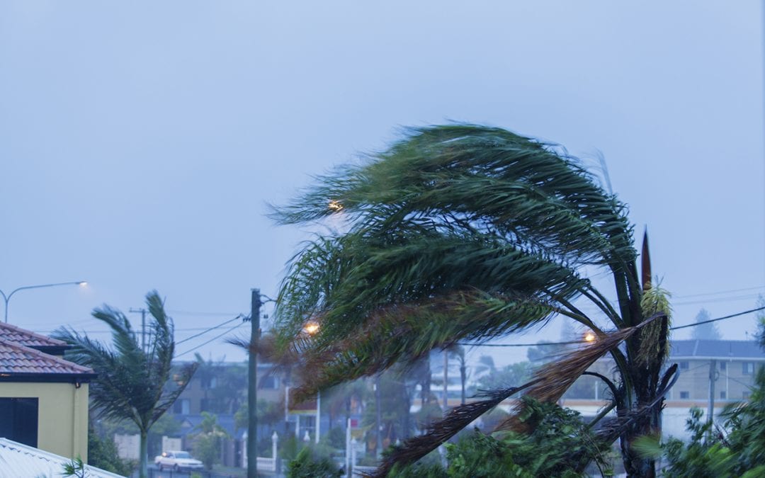 Tips for Preventing Wind Damage To Your Property